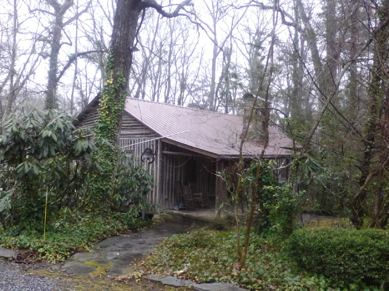 Weathered metal roof on an old board sided cabin in the woods in Rio Vista