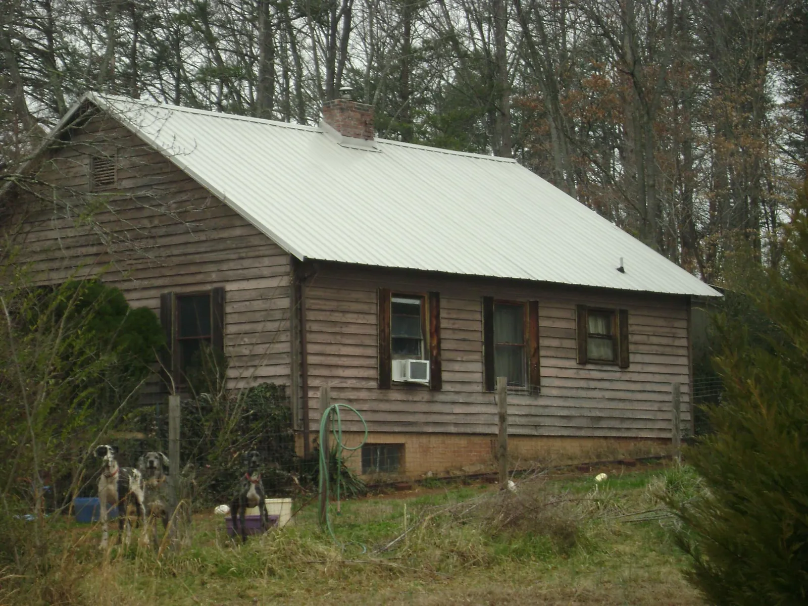 White metal roof on an old wood sided farmhouse, from a Metal Roof Installation job in Rio Vista